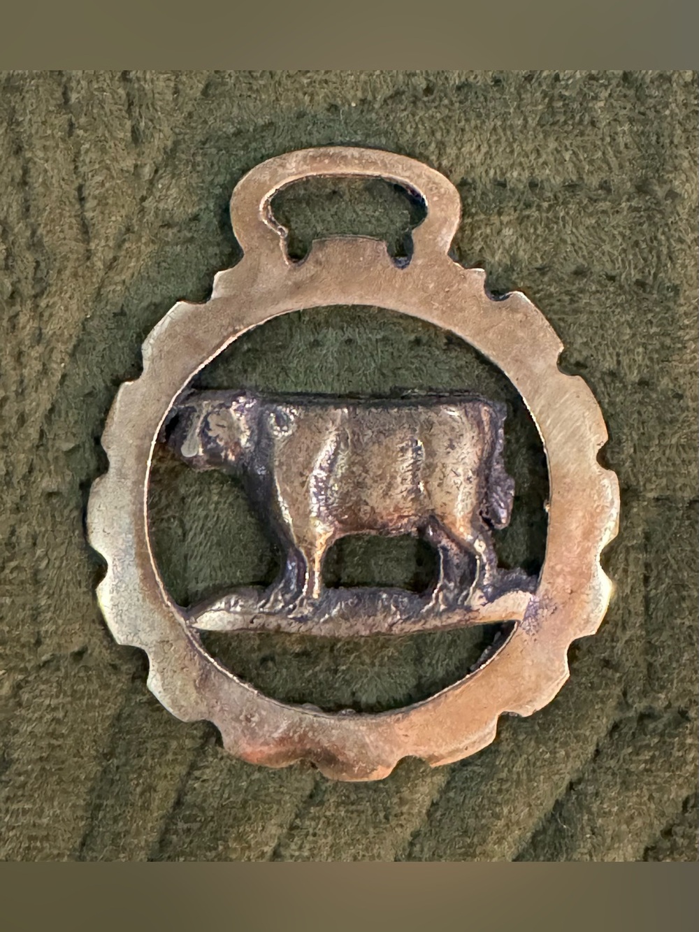 Vintage English Cast Brass Horse Saddle Harness Medallion- Country Cow